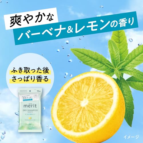 Merit Merit Day Plus Dry Shampoo Sheet White Green 12 Pieces