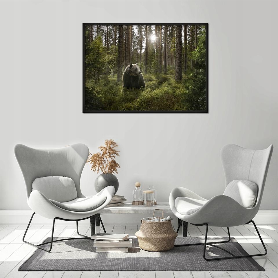 Bildposter In einem Rahmen 43x33 cm Bär P651