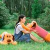 Lying Dog Plush Toy Dog Doll Sleeping Pillow Large Long Pillow Children's Doll Teddy Bear Birthday Gift