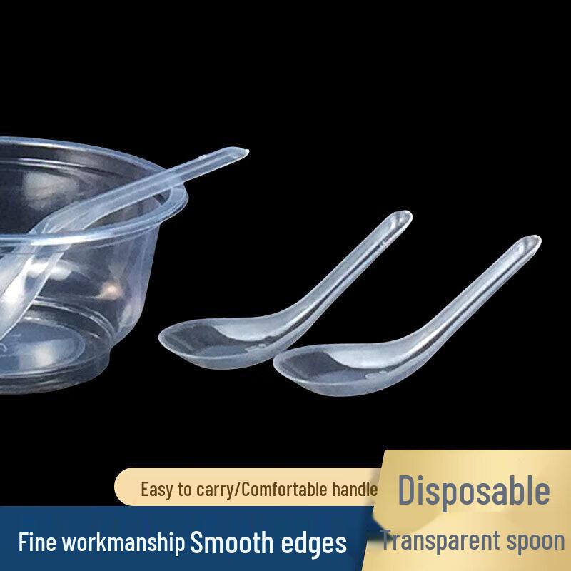 Disposable Plastic Takeout Bowls & Spoons
