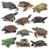 Cross-Border Amphibian Reptile Figurine - Alligator Snapping Turtle, Red-Eared Slider, Musk Turtle, Chinese Softshell Figurine Toy