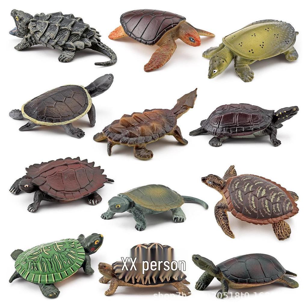 Cross-Border Amphibian Reptile Figurine - Alligator Snapping Turtle, Red-Eared Slider, Musk Turtle, Chinese Softshell Figurine Toy