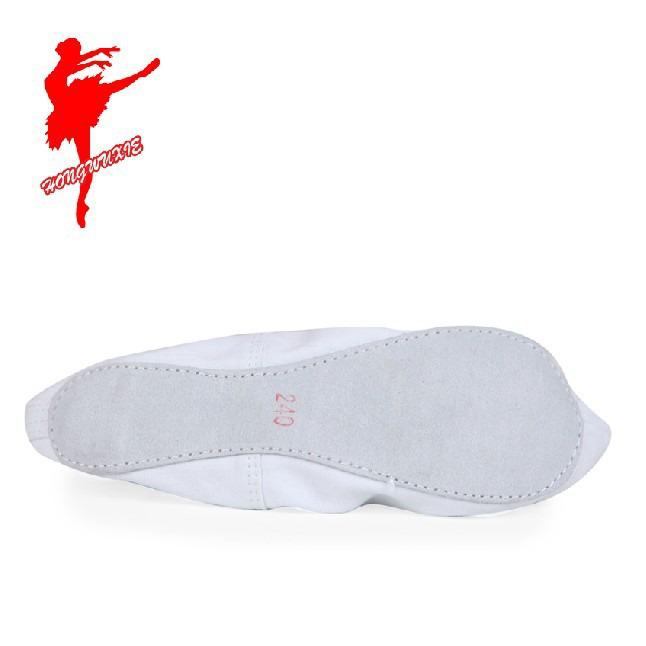 Korean Traditional White Hook Canvas Dance Shoes - Flat Indoor Practice Shoes, Model 10053