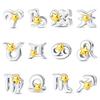 Pendentifs Charms Douze Constellations Perles DIY Bijoux Bracelets Collier Accessoires Perles en Cuivre