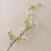 Cream Puff Cloud Artificial Willow Flowers - Fragrant Snow INS Style Wedding & Green Plant Decorations