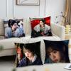 TV Pursuit of Jade Fan Changyu Cushion Cover For Pillow Printing Sofa Decoration Home Room Coffee Shop Office Nordic Simplicity