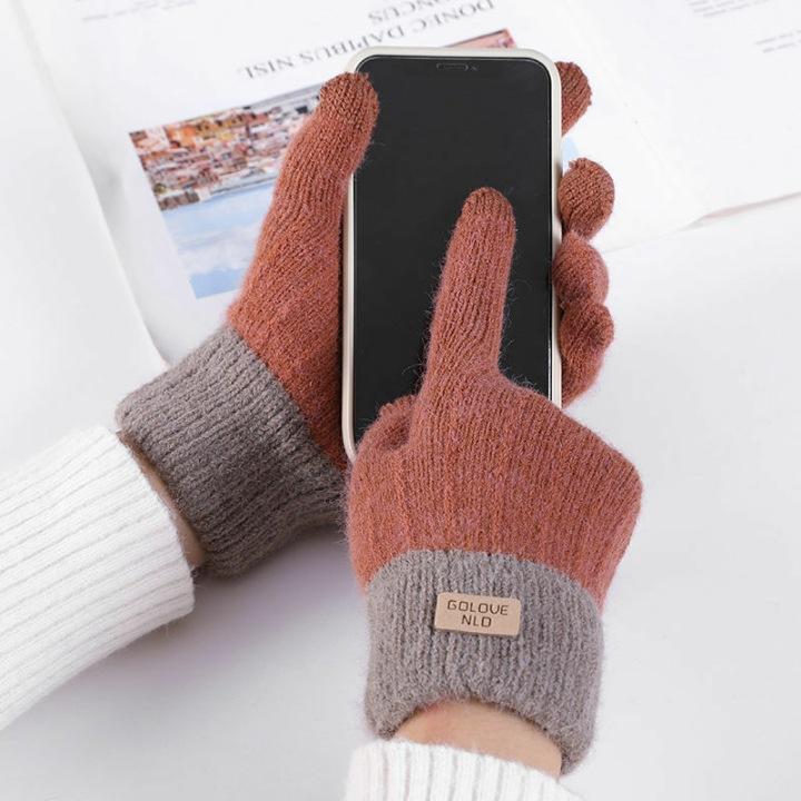 Warm Gloves for Women In Autumn and Winter Alpaca Velvet Knitted Touch Screen Outdoor Anti Freeze Plus Velvet Thickened Korean Version Cute