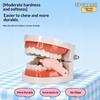 Bear Shape Aligner Chewies Silicone Teeth Stick Bite Teeth Chew Aligners Invisible Braces Aligners Prevent Face Distortion
