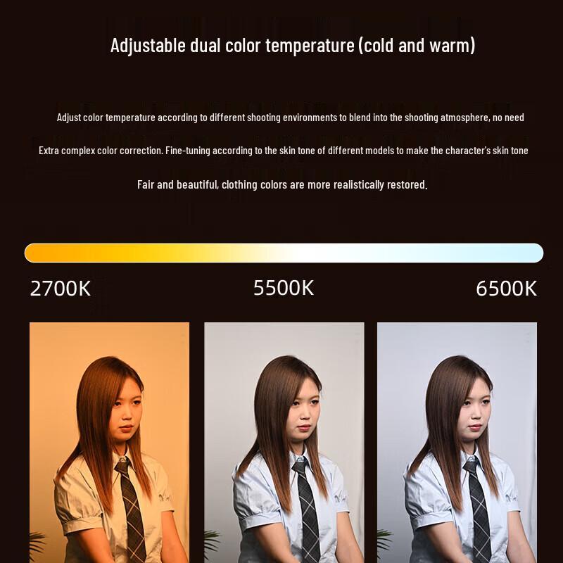 JINBEI JL-220BI Bi-color LED Video Light Kit