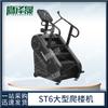Multifunction Stair & Climbing Fitness Machine
