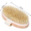 Lymphdrainage-Trockenbürste - Trockenbürste für den Körper - Peelingbürste mit Naturborsten, geeignet zur Behandlung von Cellulite, zur Hautglättung, zur Verbesserung der Blutzirkulation