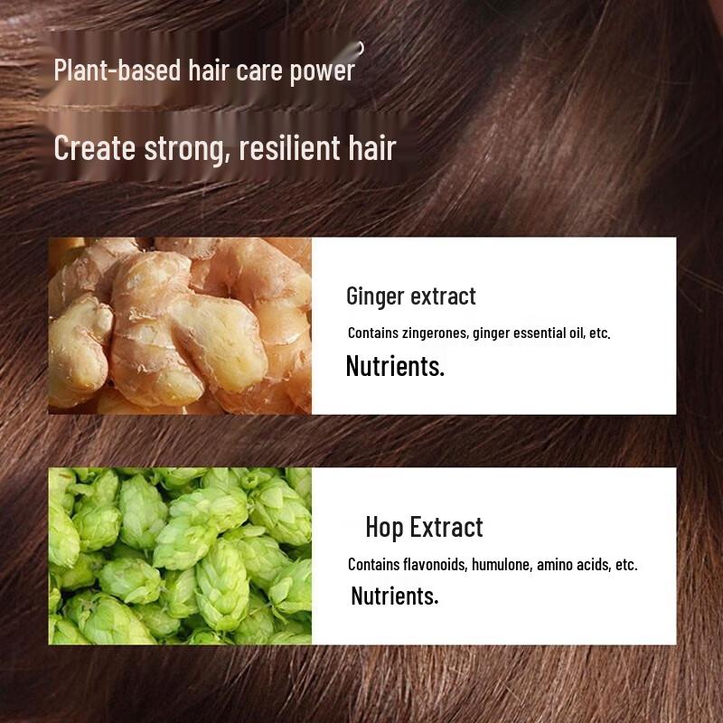 Fenghua Ginger Hair Strengthening Shampoo