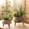 Retro Round High Foot Small Tray Snack Plate Paulownia Wooden Old Countryside Style Living Room Tea Table Sugar Fruit Plate