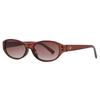 Vintage Y2K Stylish Women Sunglasses Cat Eye Shape UV Protection Men Sun Glasses Unisex Hiking Driving Sunglasses