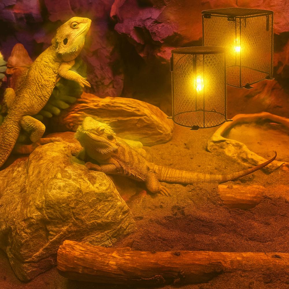 Round and Square Shape Heating Bulb Lamp Enclosure Iron Mesh Cover Reptiles Heat Lamp Guard  Snake