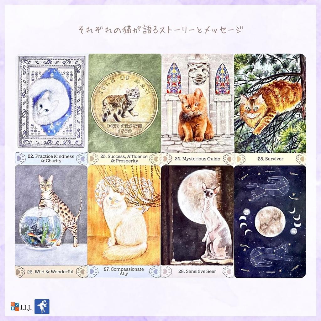 Oracle Cards Cat Mythos Magick Oracle English Affirmation Cat Fortune Telling Authentic I.I.J &