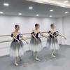 Adult Kids Long Professional Ballet Tutu Swan Lake Ballet Costume Ballerina Ballet Dress Girls Performance Dancewear Velvet Top