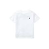 T-shirt Polo Ss22 Haft z małym konikiem Jednolity kolor Dzianina bawełniana Okrągły dekolt Krótki rękaw Standardowy krój Topy dla dzieci Biały CWPOTSHY8020175-100