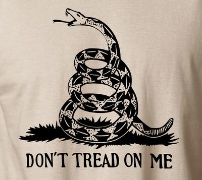 NON CALPEARMI T-Shirt Bandiera Americana Gadsden Secondo Emendamento S-6XL Tee