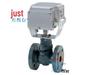 Azbil Yamatake Proportional Control Electric Two-Way Ball Valve (Model: VY5139L0060/VY5139L0080)