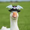 Bat Wings Halloween Goose Outfits Fake Cobweb Lawn Goose Clothes  Yard Ornaments