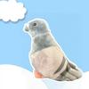 High Quality Simulated Pigeon Plush Toy Soft Material Realistic Pigeon Plush  Birthday Gift