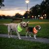 Luminous Dog Bandana Adjustable Dog Saliva Towel Four Season Pet Neckerchief  Party Decor