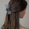 MERRYMOTIVE Vintage Flower Point Organza Hair Claw (Blue)
