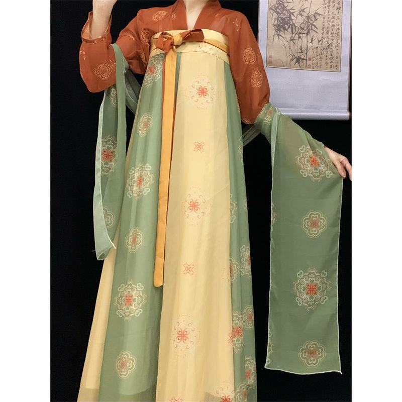 Womens Tang Dynasty Style Hanfu Dress With 3D Printed Wrap Skirt Chiffon Outfit