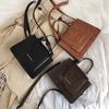Shengshi retro chic bag women's 2019 popular new Hong Kong style fashion texture versatile single shoulder crossbody small square bag