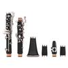 Summina Woodwind Clarinet Set, 17 Keys, B Flat, ABS, Soprano, 10 Reeds, Mouthpiece, Cork Grease, Gloves, Reed Case, Screwdriver, and More, Perfect for