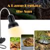 Reptile Heating Lamp UVB Reptile Light with 50W 70W Bulbs Clamp Basking Lamp for Lizard Turtle Aquarium Tank with 360° Rotatable Clip and Adjustable