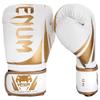 Venum Challenger Boxing Gloves 2.0