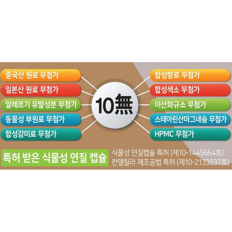 Holly Tree Vitamin D Friendy 5000IU Adult Pregnant Women Allergen-Free Vegetable Chewable 2 Bottles 180 Capsules, 180 Tablets, 2 Pieces