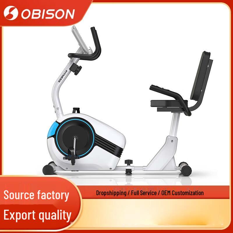 Aubesen Ultra-Quiet Magnetic Recumbent Exercise Bike