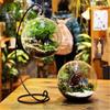 Hanging Ecological Bottle With Iron Holder Glass Vase Creative Micro Landscape Diy Gifts Home Decor