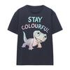 Frozen Womens/Ladies Stay Colourful With Fire Spirit Bruni T-Shirt
