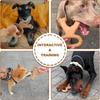 Durable Nylon Dog Chew Toy Beef Bacon Flavor Double Bone Teething Chew for Large Dogs Interactive Puppy Toys Dental Cleaning