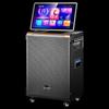 SAST All-in-One Karaoke System with 21-inch Screen CN Plug (adapter Included)