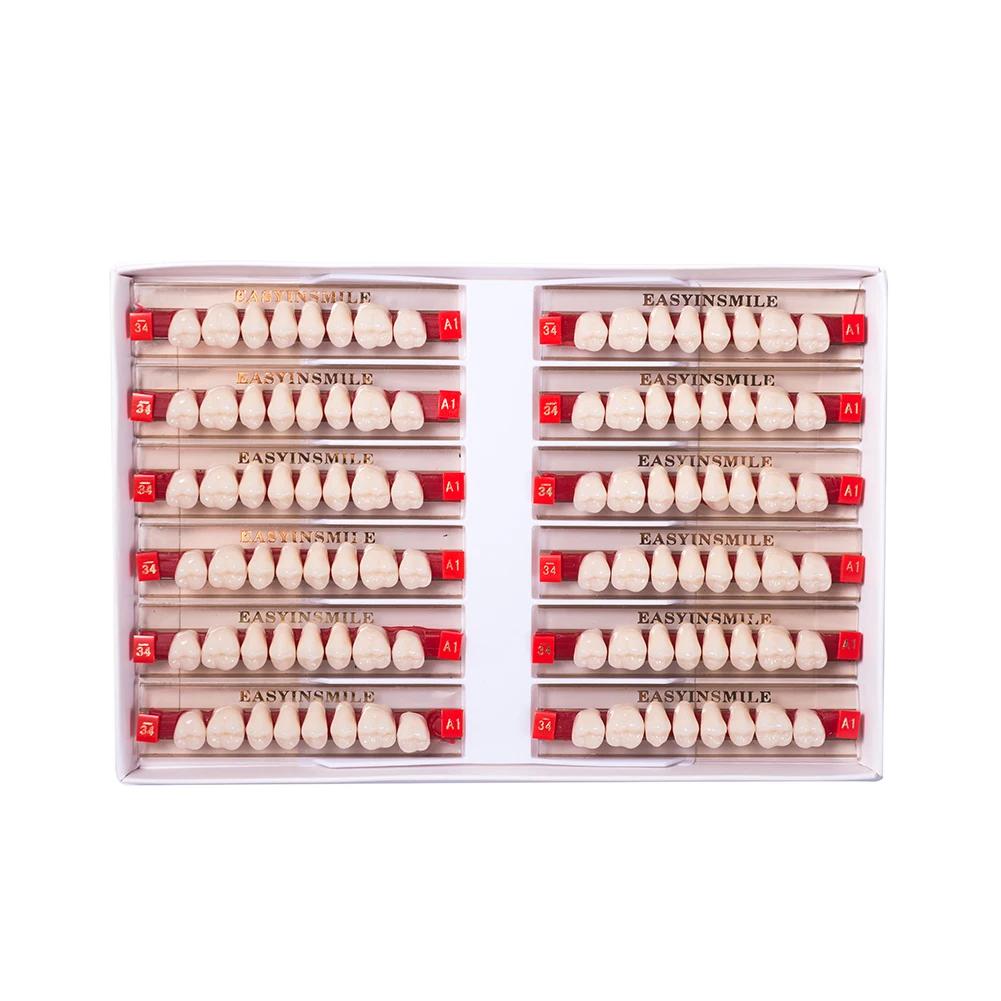 16/12 Sätze/Karton Zahnprothese Zähne Oberkiefer Frontzähne Unterkiefer Seitenzähne Dentier Synthetisches Polymerzähne Zahnmedizinische Ausbildungsmodell