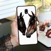 Horse Animal Case For Samsung Galaxy M06 M16 M36 M56 M15 M11 M31 M21 M53 M13 M32 M52 M35 M55 M14 M34 M54