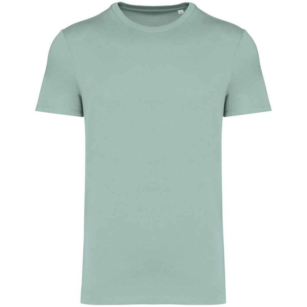 Native Spirit Unisex Adult Heavyweight Slim T-Shirt