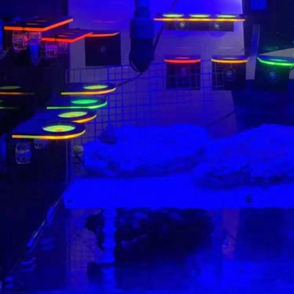 Durable Coral Growing Holder Acrylic Marine Reef Stand Aquarium Accessories Coral Rack  Fish Tank