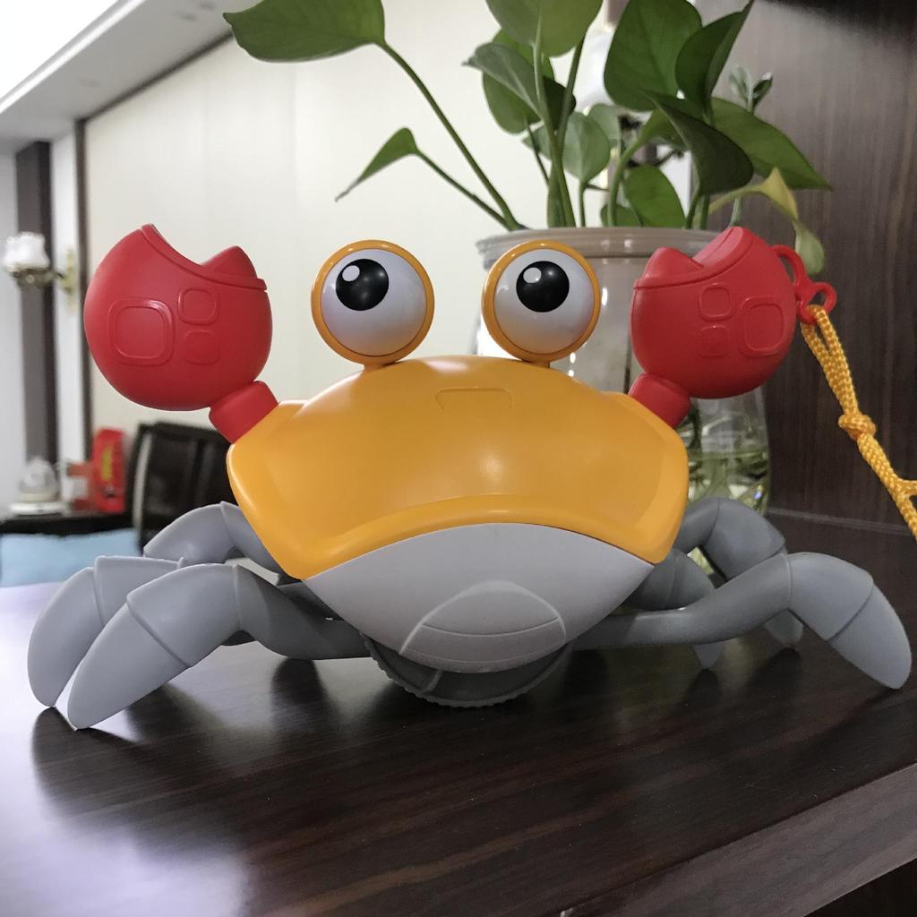 Children's Amphibious Pull-String Crab Water & Bath Toy