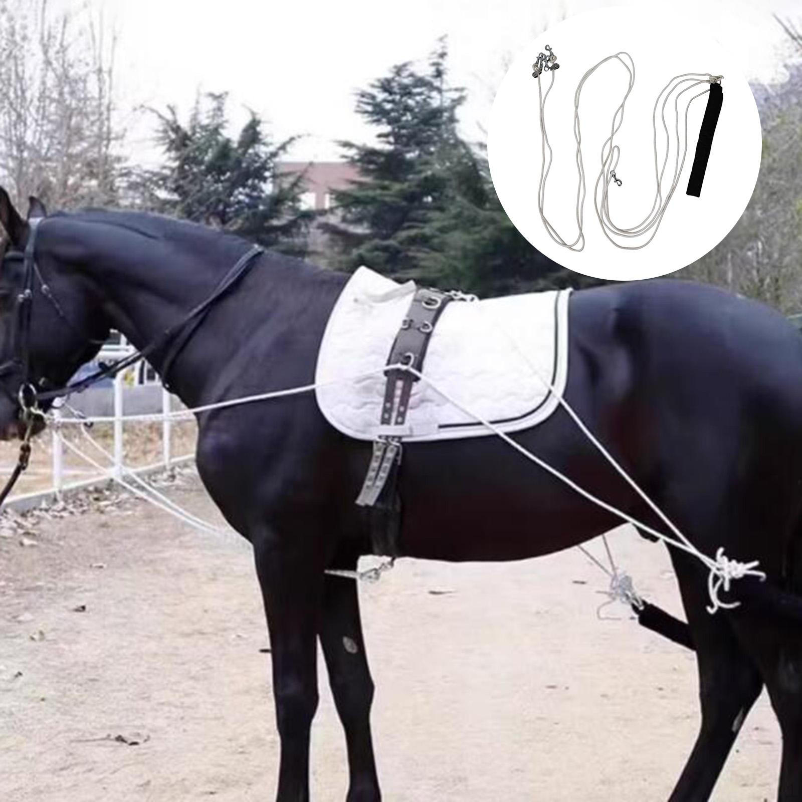 

Веревка для быстрого крепления недоуздка для лошади, для конюшни, для прогулок, для показа, для корды, с блоком и фиксатором для регулировки