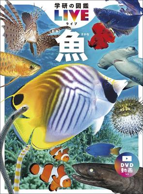 Fisch Neue Ausgabe (Gakken Illustrierte Enzyklopädie LIVE)