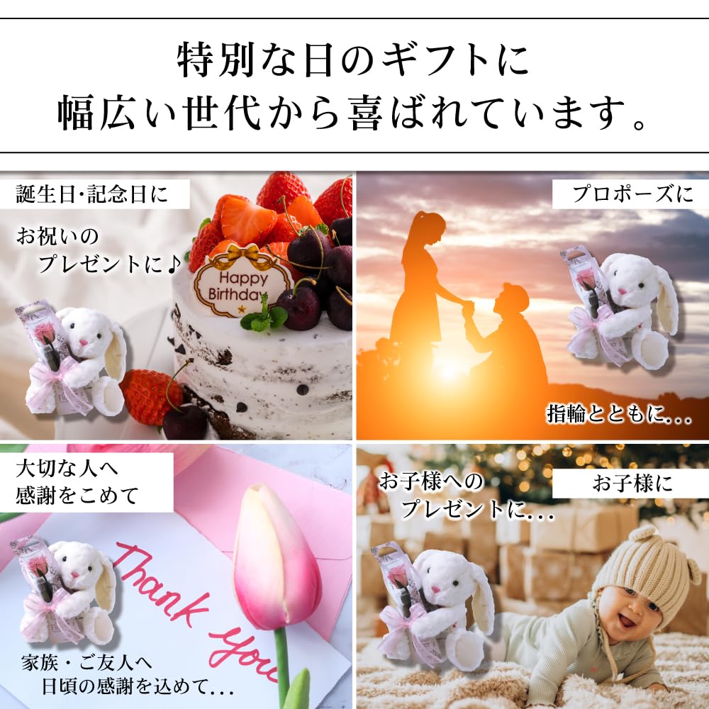 Flor preservada Flor preservada con estuche transparente L Conejo y una sola rosa Flor preservada Rosa Presente Celebración Aniversario Cumpleaños