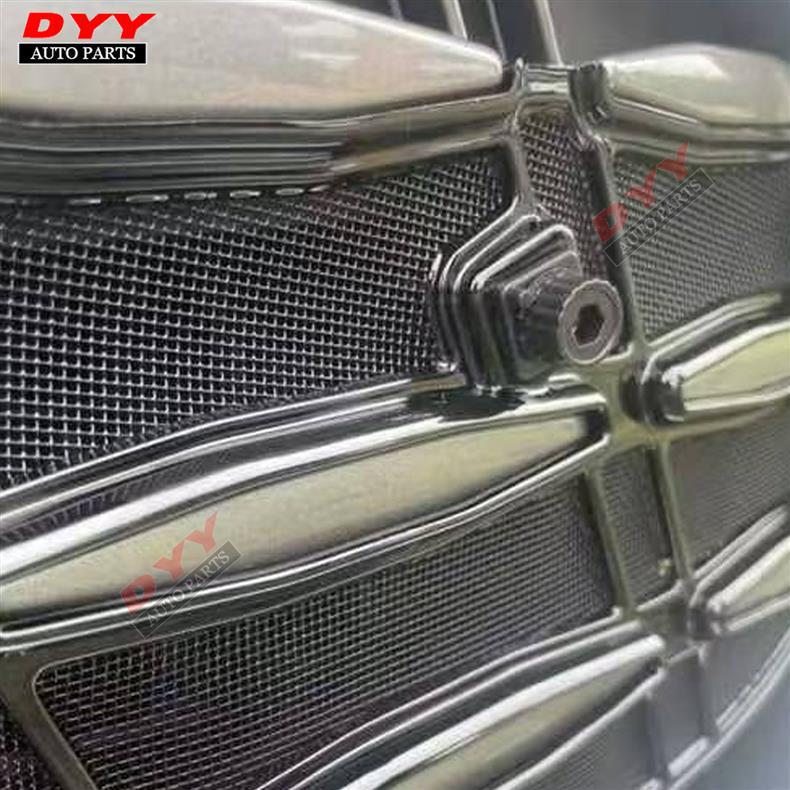 2025 Lexus ES200/260/300H Front Grille with Insect Net