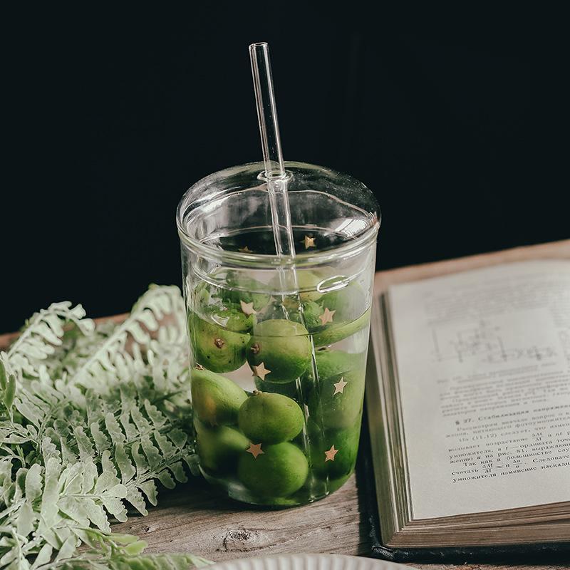Tazza in Vetro con Coperchi e Cannucce Tumbler da Caffè Tazza per Bere Latte e Succhi Tazze in Vetro per Frullati per Casa Outdoor Viaggio
