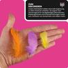 Jeu de scrapbooking - netuno - plumes décoratives - 10g - multicolore - pour enfants à partir de 3 ans